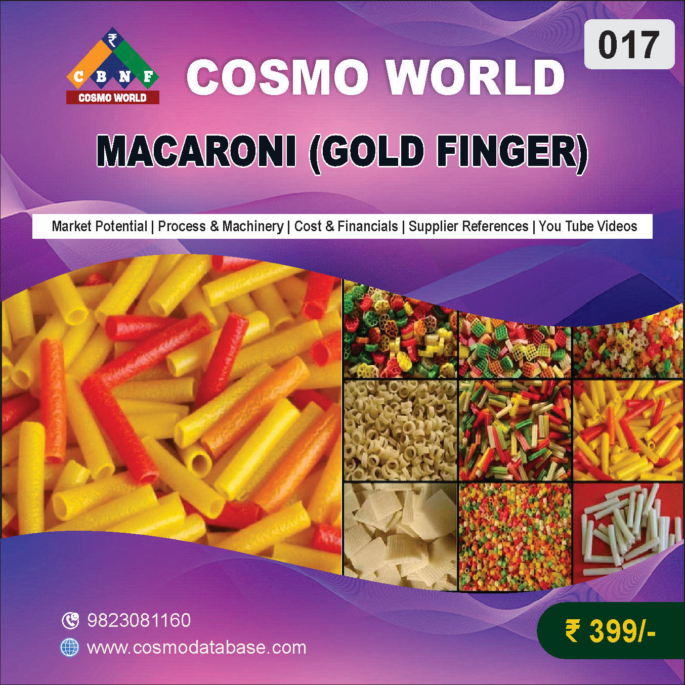 017 MACARONI (GOLD FINGER) | Detailed DPR for Bank Loan, MSME & Business Setup
