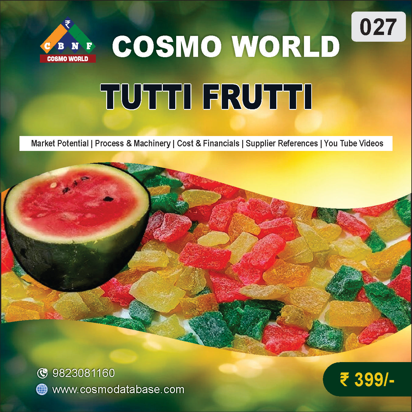 027 TUTTI FRUTTI | Detailed DPR for Bank Loan, MSME & Business Setup