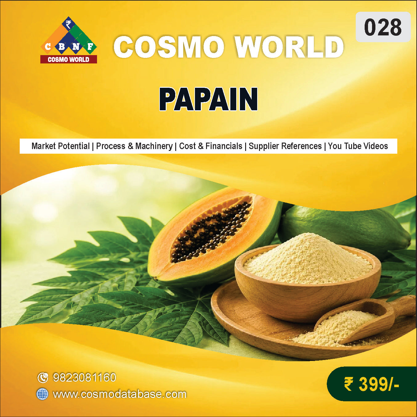 028 PAPAIN | Detailed DPR for Bank Loan, MSME & Business Setup