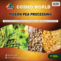 029 PIGEON PEA PROCESSING | Detailed DPR for Bank Loan, MSME & Business Setup