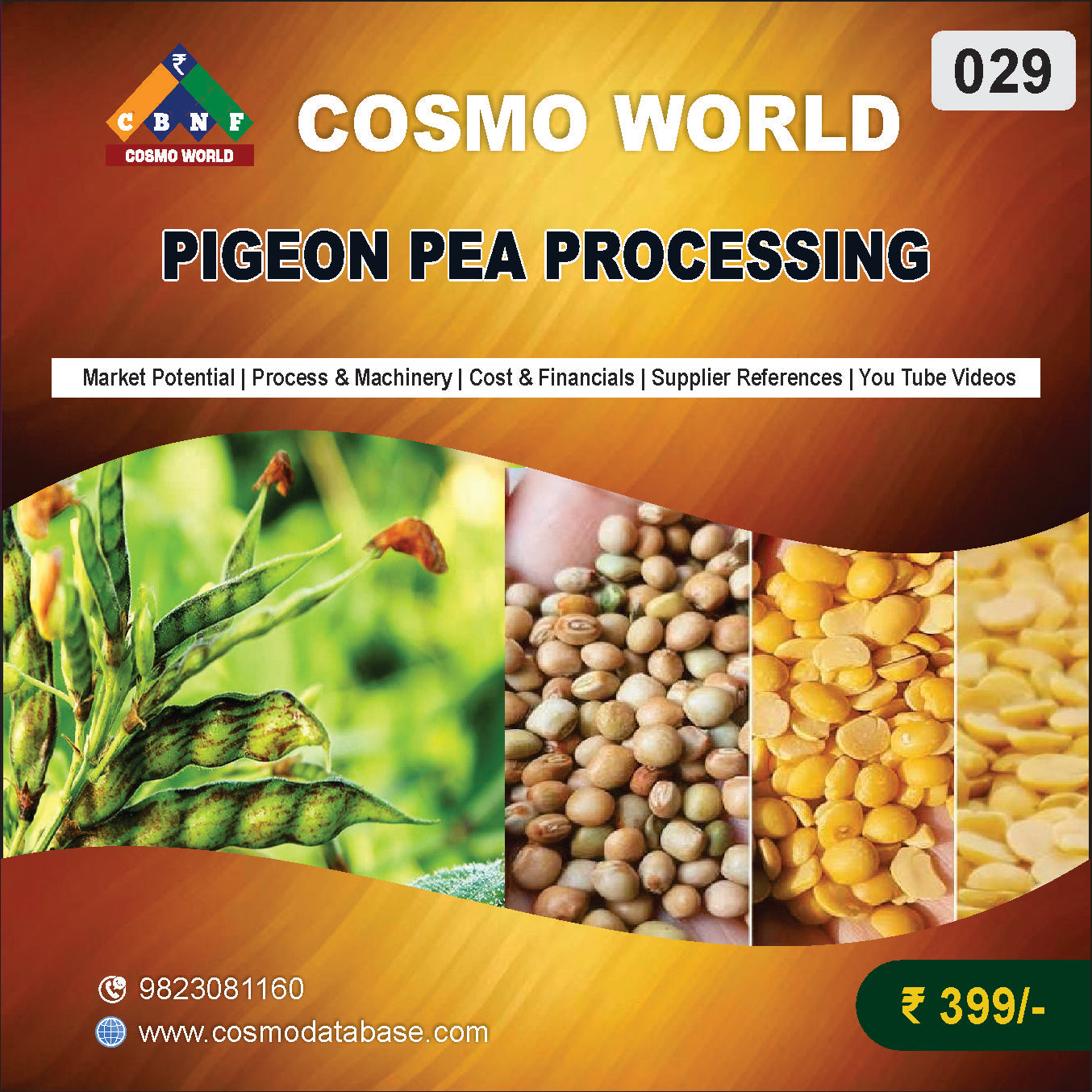 029 PIGEON PEA PROCESSING | Detailed DPR for Bank Loan, MSME & Business Setup