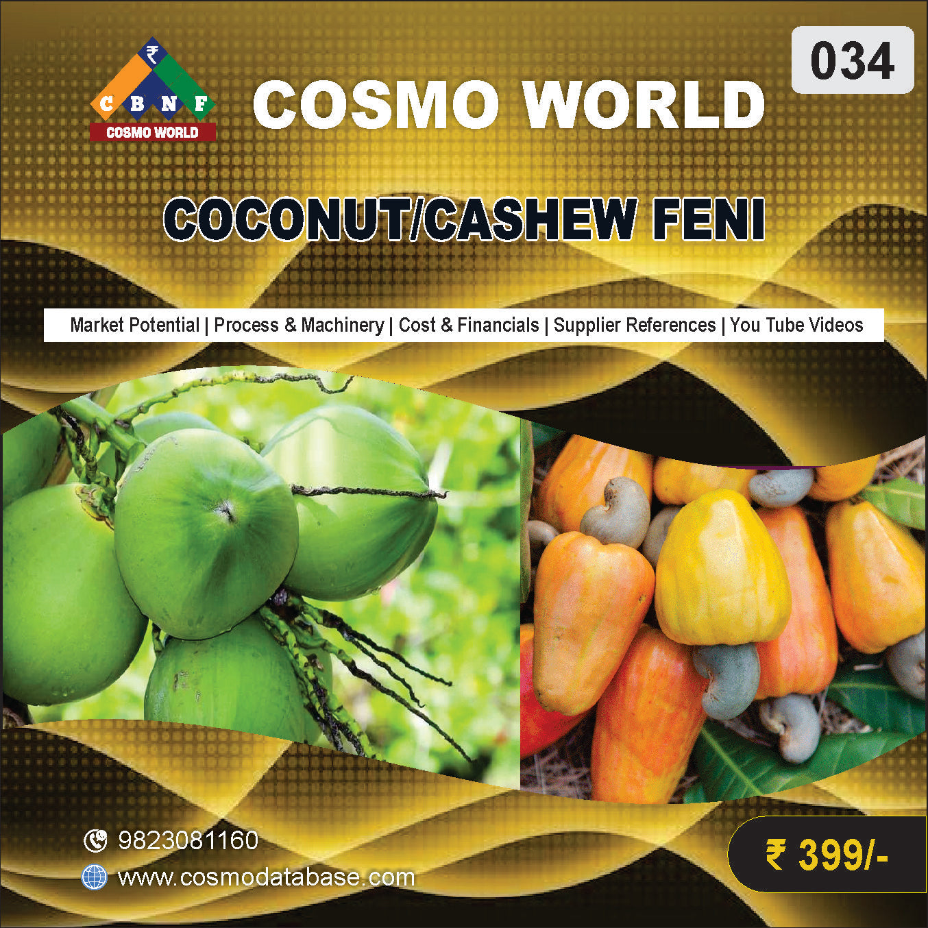 034 COCONUT/CASHEW FENI | Detailed DPR for Bank Loan, MSME & Business Setup