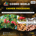 038 CASHEW PROCESSING | Detailed DPR for Bank Loan, MSME & Business Setup