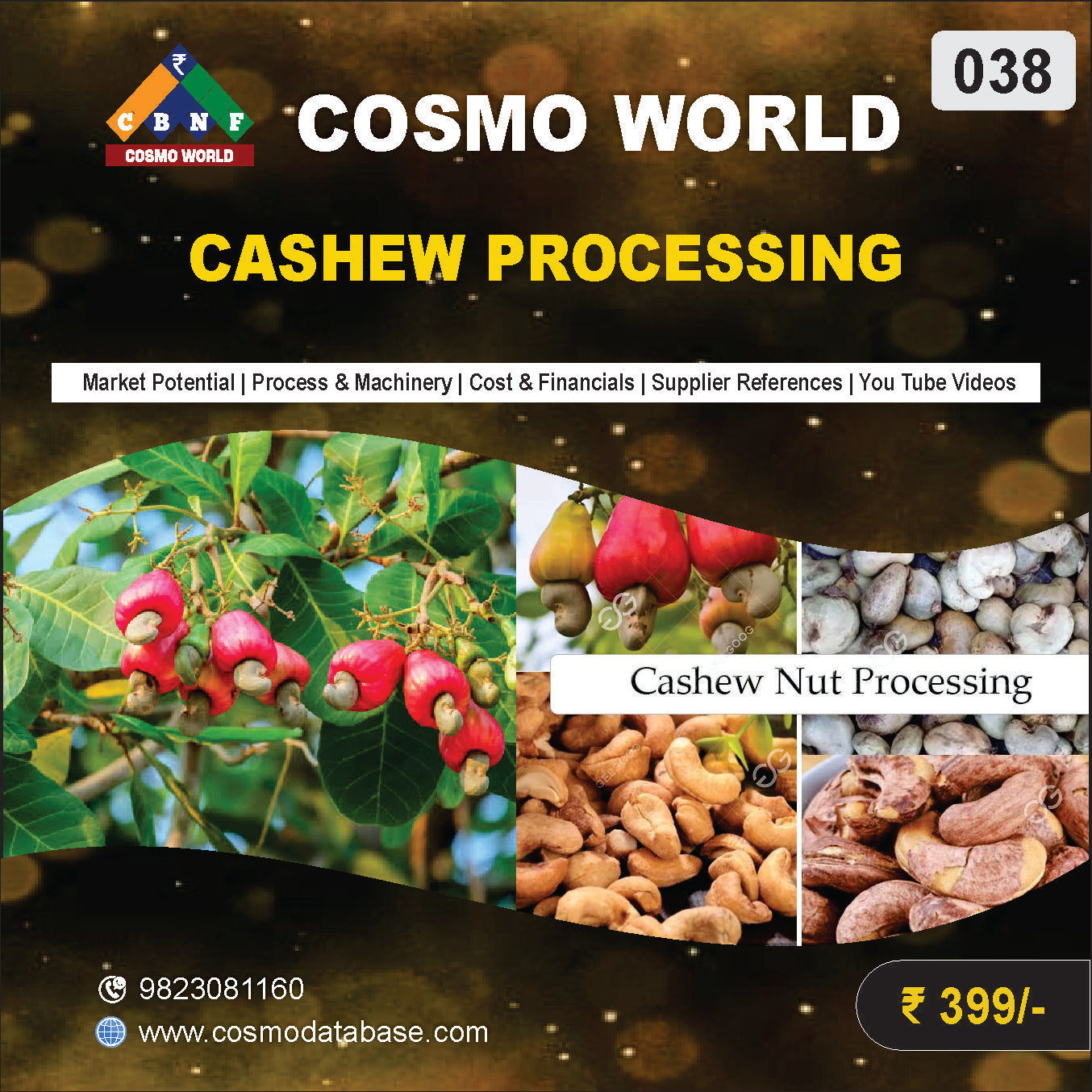 038 CASHEW PROCESSING | Detailed DPR for Bank Loan, MSME & Business Setup
