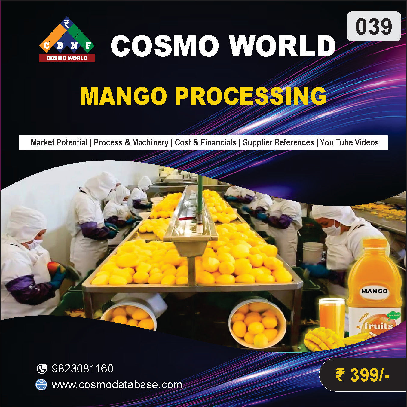 039 MANGO PROCESSING | Detailed DPR for Bank Loan, MSME & Business Setup