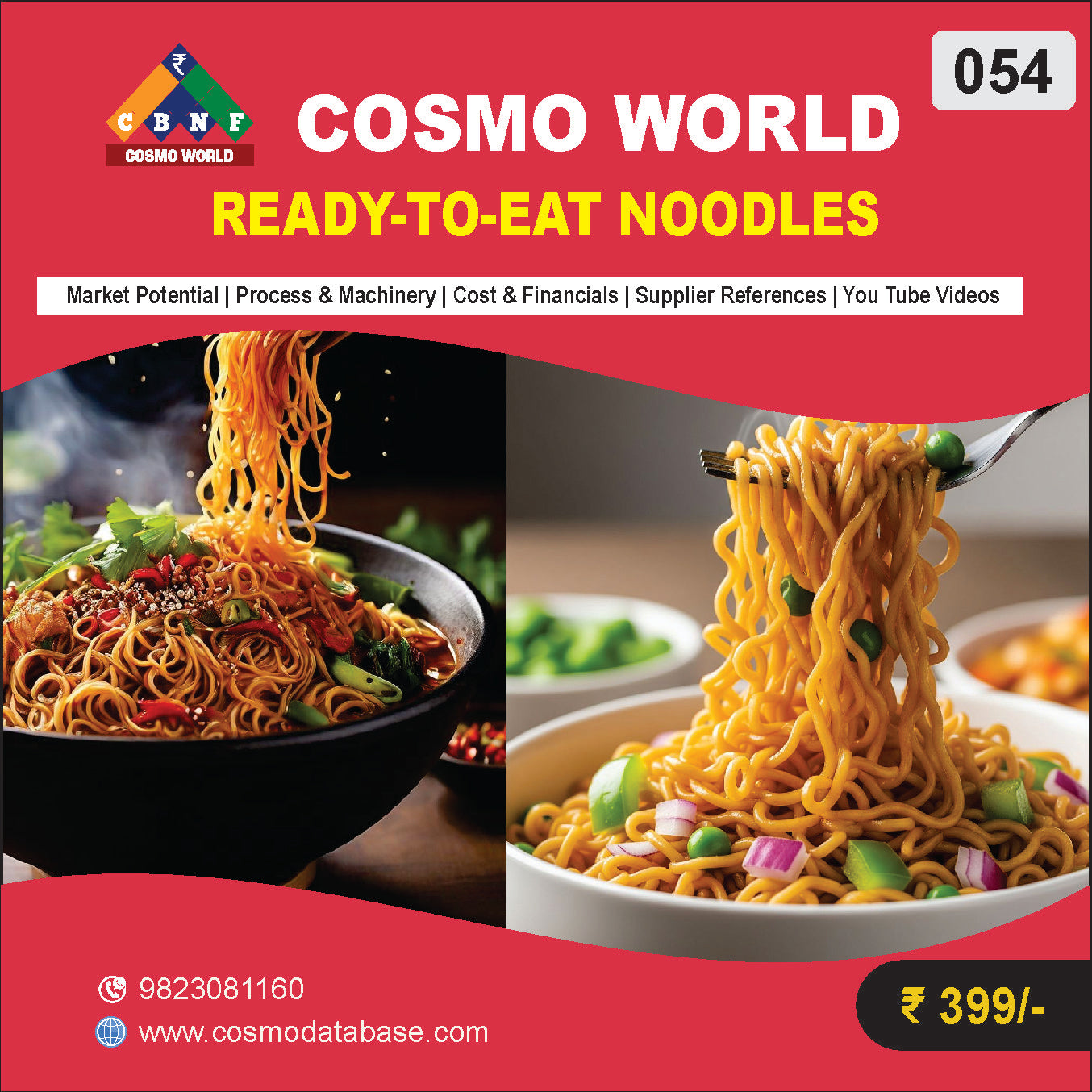 054 READY/TO/EAT NOODLES | Detailed DPR for Bank Loan, MSME & Business Setup