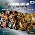 061 OYSTER MUSHROOMS | Detailed DPR for Bank Loan, MSME & Business Setup