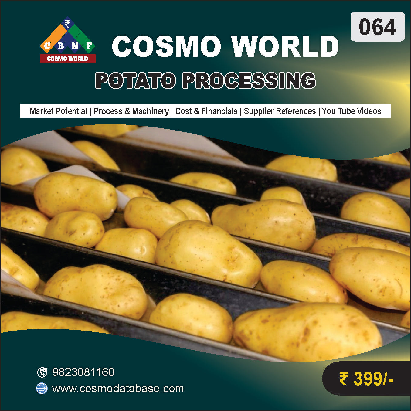 064 POTATO PROCESSING | Detailed DPR for Bank Loan, MSME & Business Setup