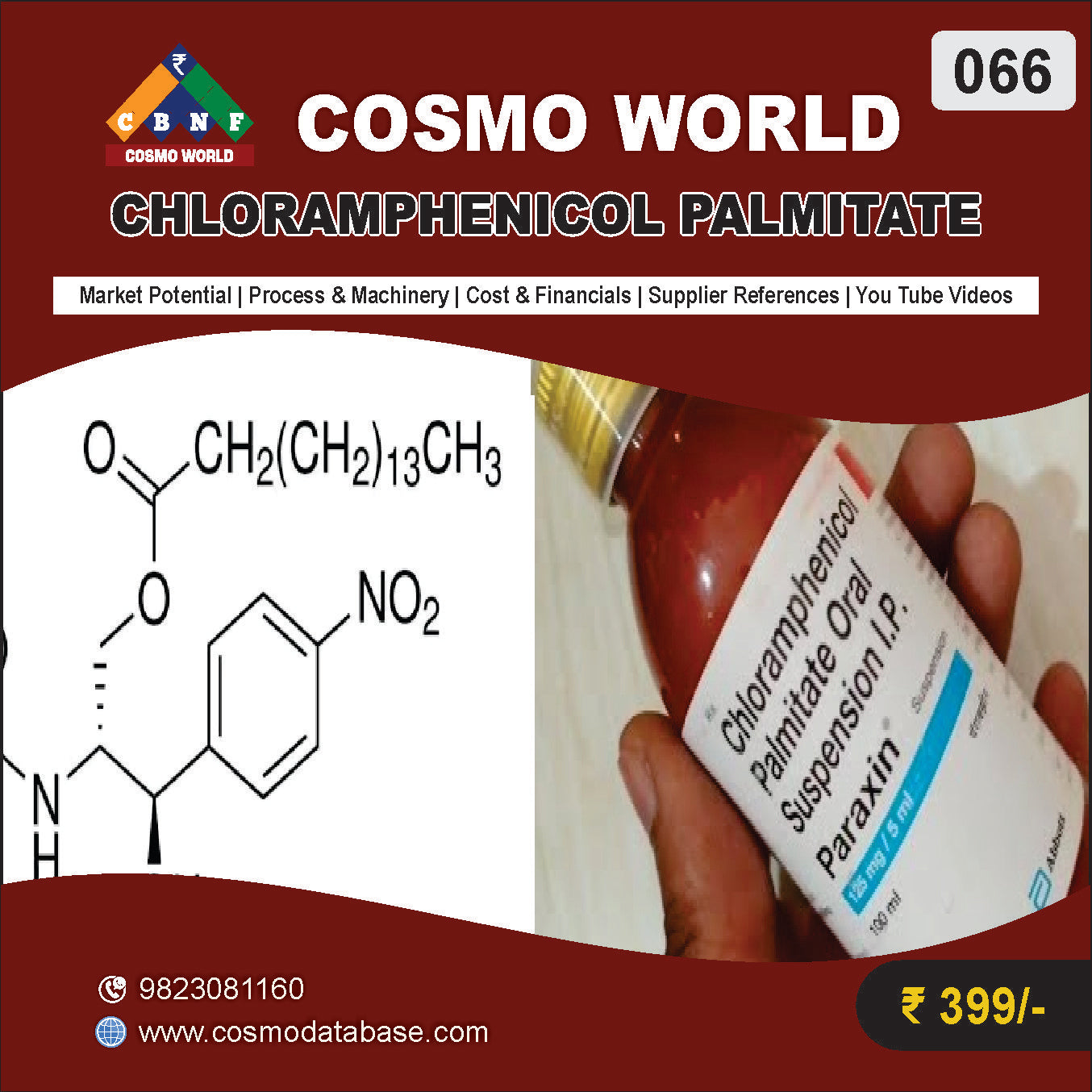 066 CHLORAMPHENICOL PALMITATE | Detailed DPR for Bank Loan, MSME & Business Setup