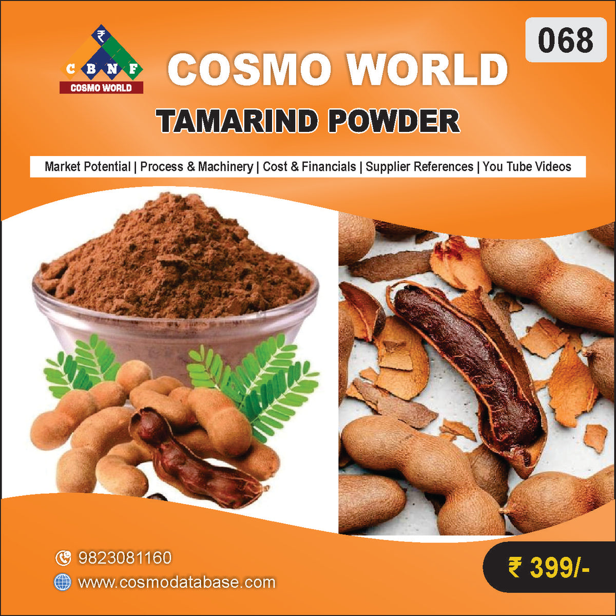 068 TAMARIND POWDER | Detailed DPR for Bank Loan, MSME & Business Setup