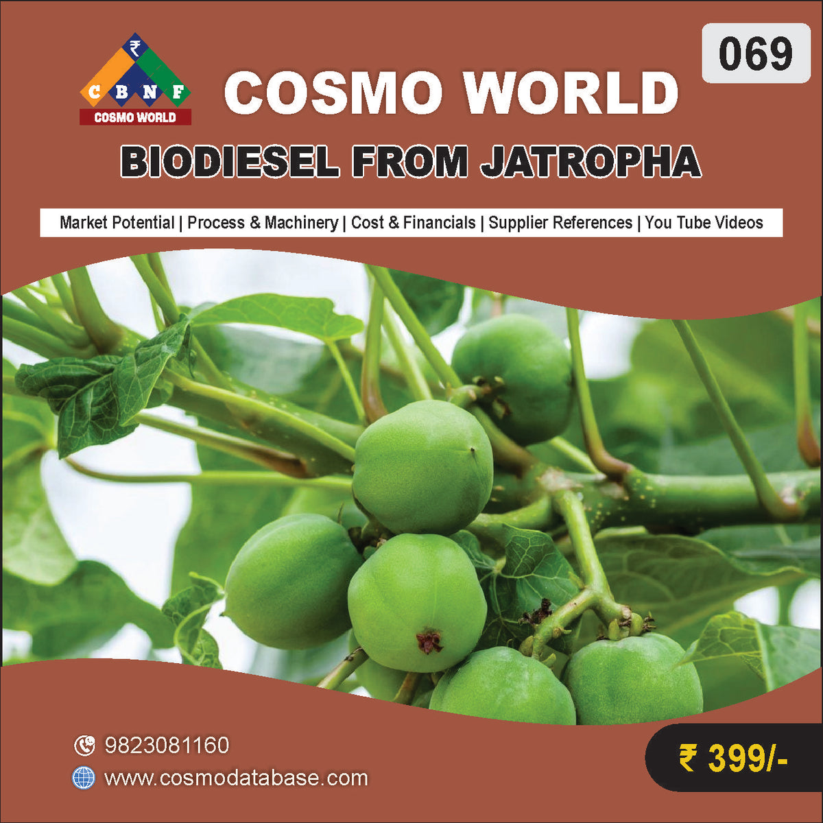 069 BIODIESEL FROM JATROPHA | Detailed DPR for Bank Loan, MSME & Business Setup