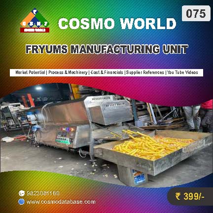 075 FRYUMS MANUFACTURING UNIT | Detailed DPR for Bank Loan, MSME & Business Setup