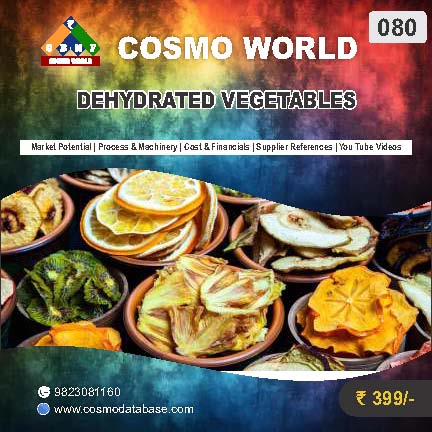 080 DEHYDRATED VEGETABLES | Detailed DPR for Bank Loan, MSME & Business Setup